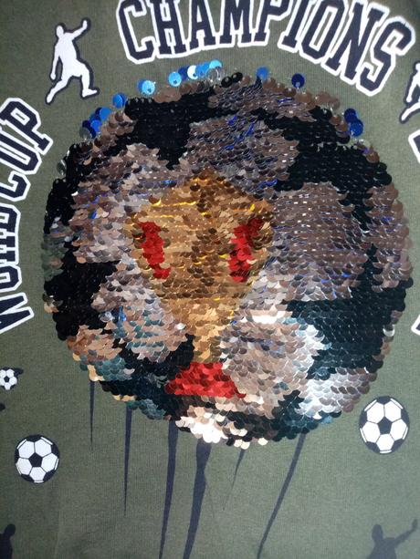 Mikina měnící, 122