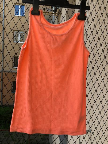 Tilko, st. bernard,146