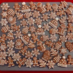 @sunnies má pro letošek hotovo ☑️❄️🎄