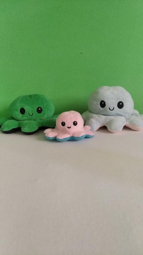 Plyšák chobotnička, 