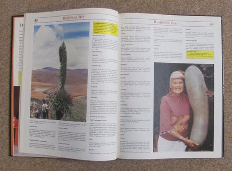 Guinnessova kniha rekordů, 