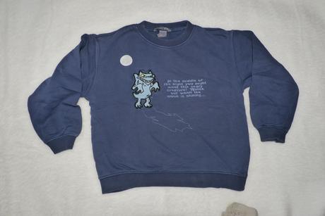 Mikina na zahradu, h&m,116