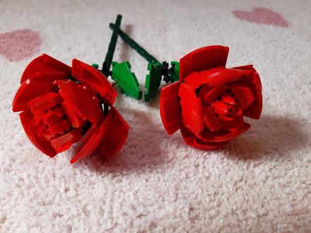 Lego botanicals 40460 růže, 