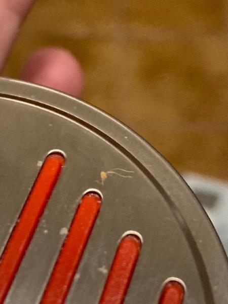 Jak rozlišit vši od lupů u dětí?