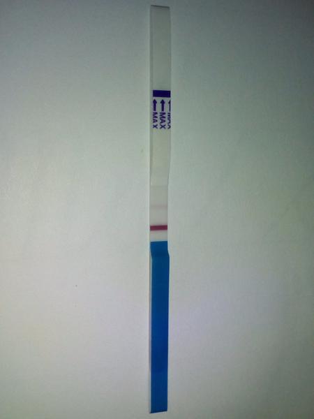 Test Lady Max 2v1 je pozitivní nebo ne?