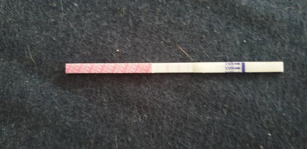 Dvě slabé čárky na těhu testu. Jakou váhu tomu dávat?