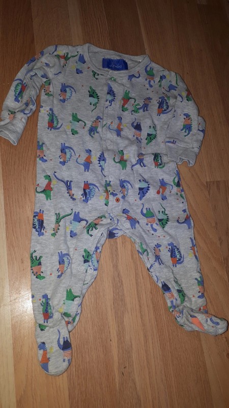 Sedy overal s dinosury 68 joules, 68