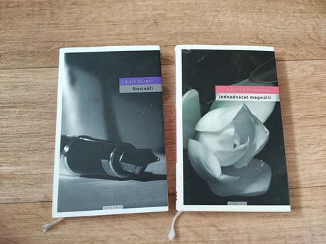 Knihy novináři a jednadvacet magnolií,