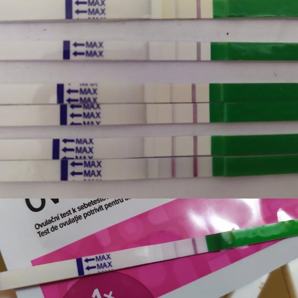 Mám už po ovulaci?