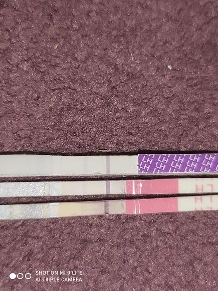 Negativní ovulační testy při užívání antikoncepce Leverette?