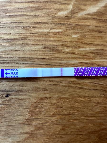 Jak správně interpretovat ovulační test?