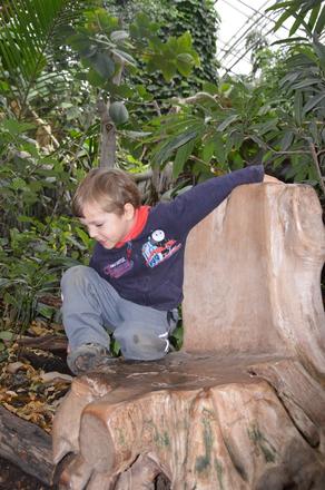 Bavlněná mikina, thomas a friends, mašinka tomáš, 98