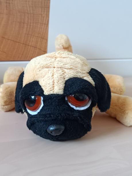 Plyšový pejsek mops vykulínek,
