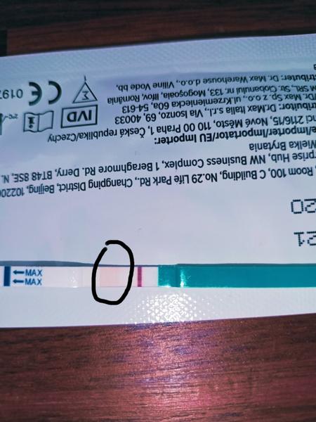 Výhody více názorů: Proč se radit ve skupině?