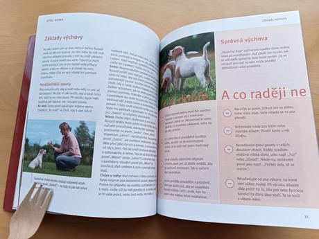 Parson a jack russell terriér - karin wegner, 