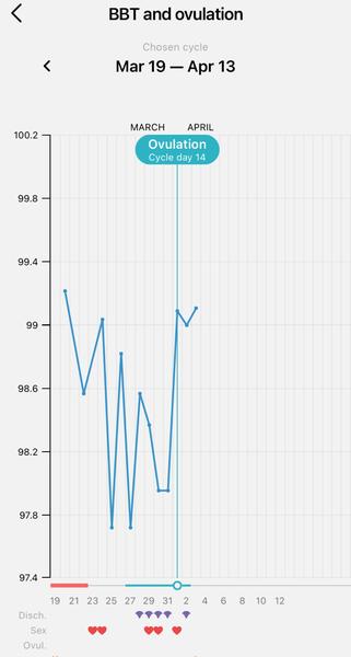 Je možné těhotenství podle grafu ovulace?