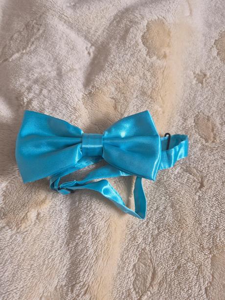 Chlapecký i pánský společenský motýlek, kravata, 