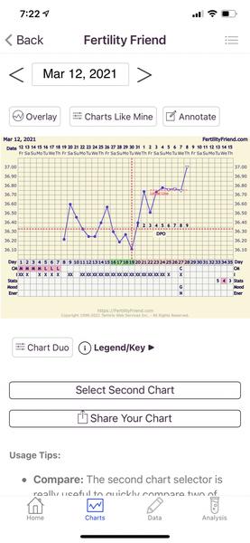 Myslíte, že se zadařilo?