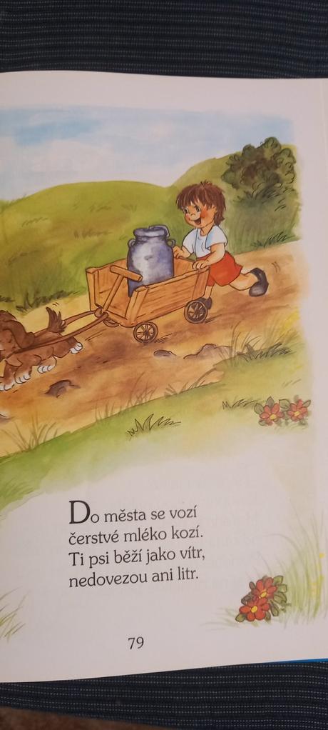 Velká kniha říkadel,