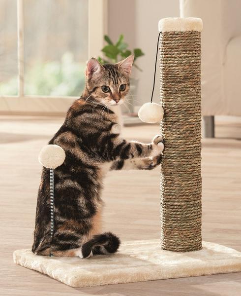 Hračky pro domácí mazlíčky