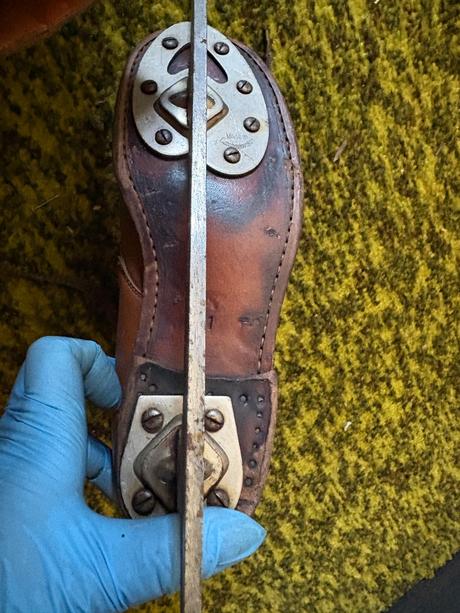 Stare kozene brusle, 