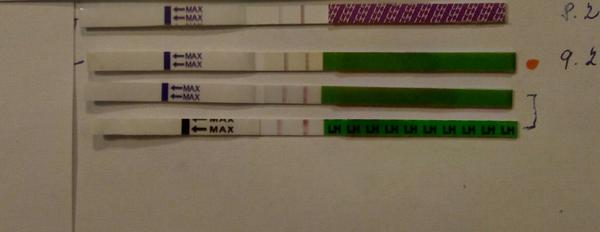 Jak interpretovat těhotenské testy? Pozitivní nebo negativní výsledky?