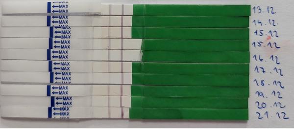 Zkušenosti s negativními ovulačními testy a špiněním?