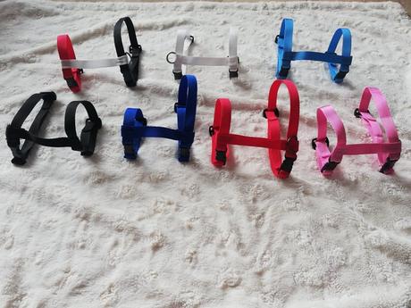 Kšíry - postroj jednobarevný, 