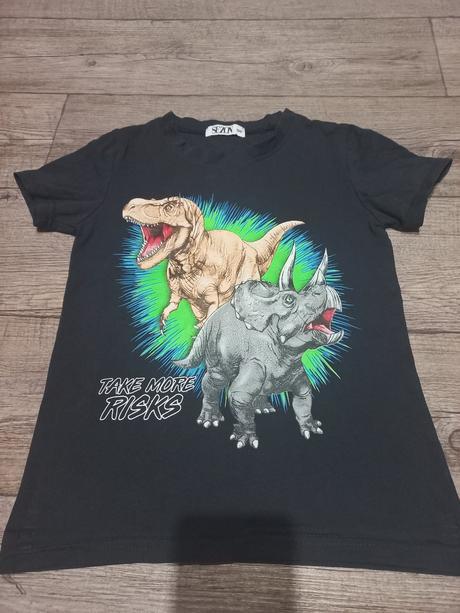Tričko s dinosaury, 134
