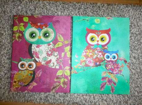Dva obrázky - soví kámošky, 