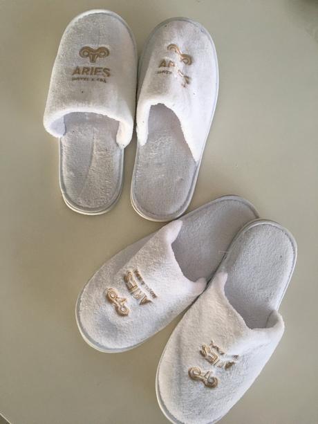 Přezůvky/bačkory/domácí obuv, 