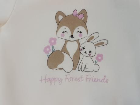 2x dívčí teplejší mikiny, disney,104