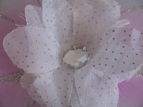 Karneval - krásné motýlí křídla,