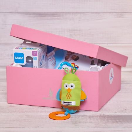 Motherbox, má cenu objednávat?