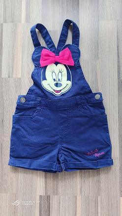 Laclíky, disney,110
