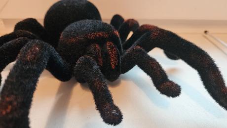 Pavouk na dálkové ovládání, 