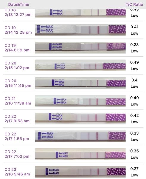 Ovulační testy - barvivo. Jaký je pozitivní? Měl to tak někdo také?