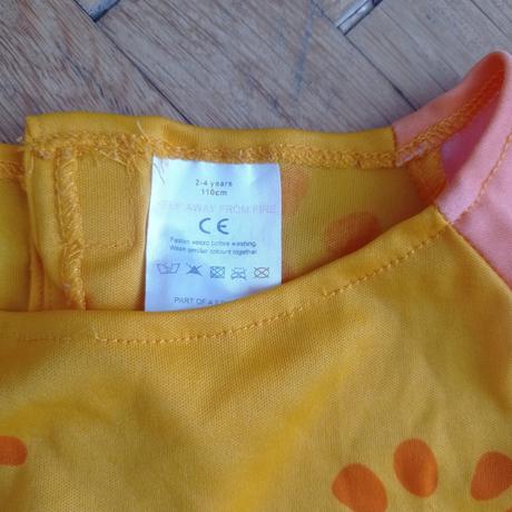 Kostým daisy květinová víla, 