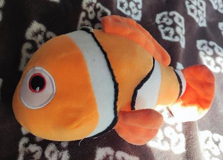 Plyšák rybka nemo,