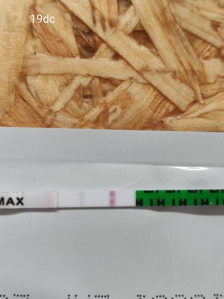 Bazální teplota vs. ovulační test. Čemu věřit?