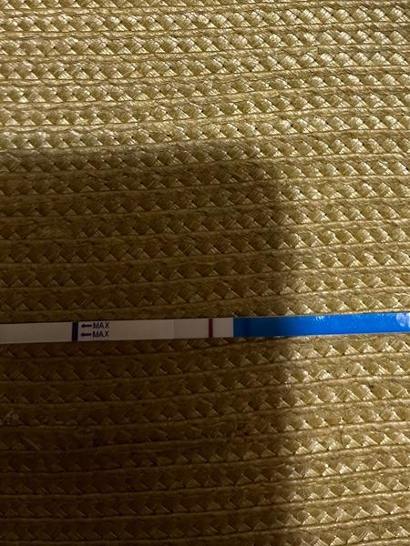 Jak spolehlivé jsou výsledky těhotenských testů?