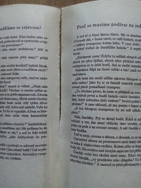 Kniha ferda mravenec, 