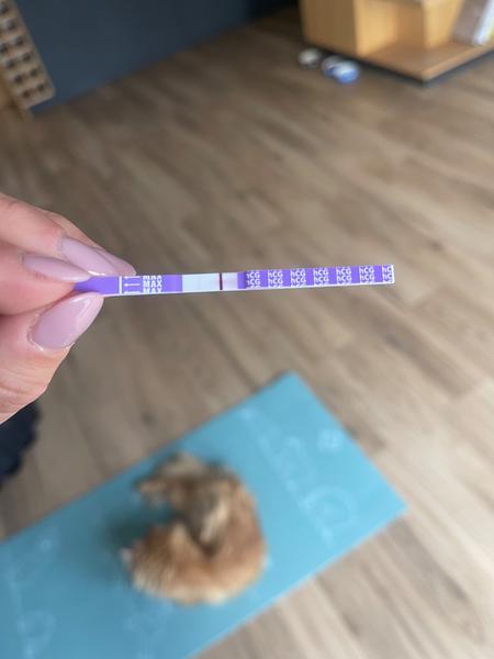 Pozitivní těhotenský test: Mám obavy z falešného výsledku?