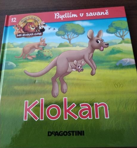 Knížka, 