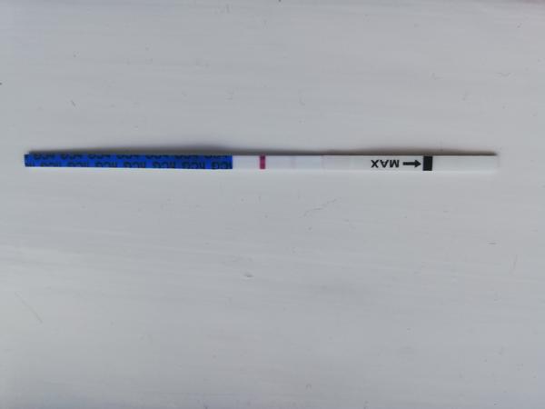 Těhotenský test. Vidíte něco?