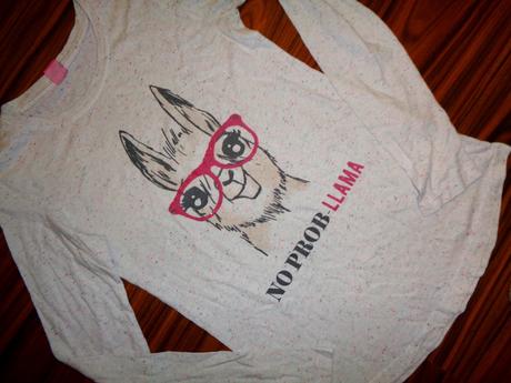 Krásné delší tričko s lamou 158/164, 158