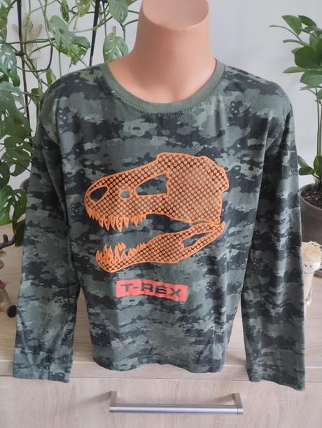 Chlapecké triko s dinosaurem, 134