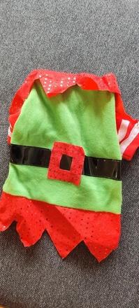 Vánoční skřítek,