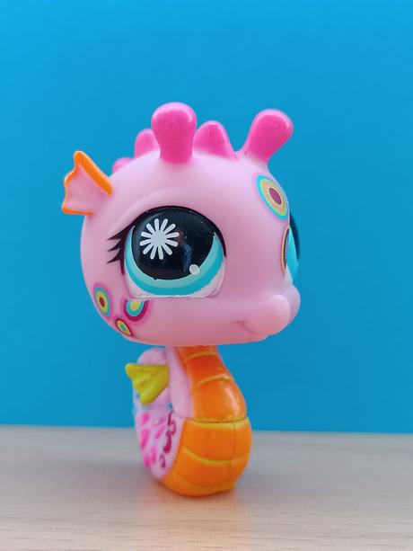 Lps mořský koník zdobený,