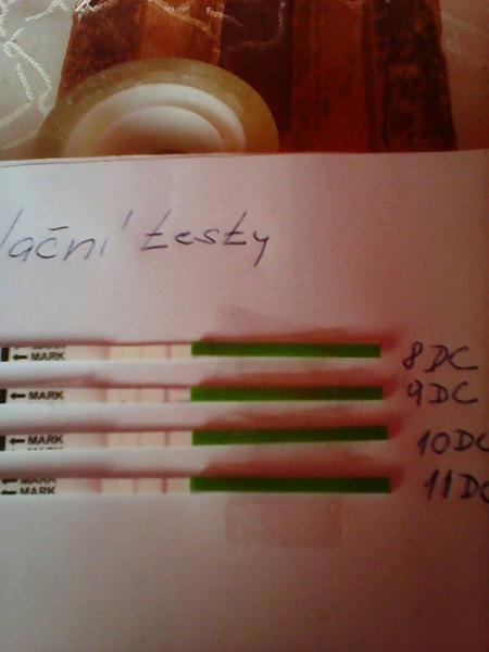 Ovulační test, co myslíte?